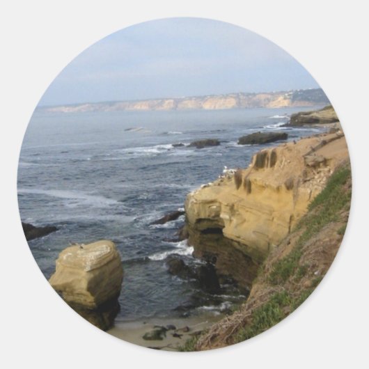 La Jolla Cove Beach Seabirds Custom Decal Stickers (Vorderseite)