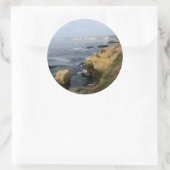 La Jolla Cove Beach Seabirds Custom Decal Stickers (Tasche)