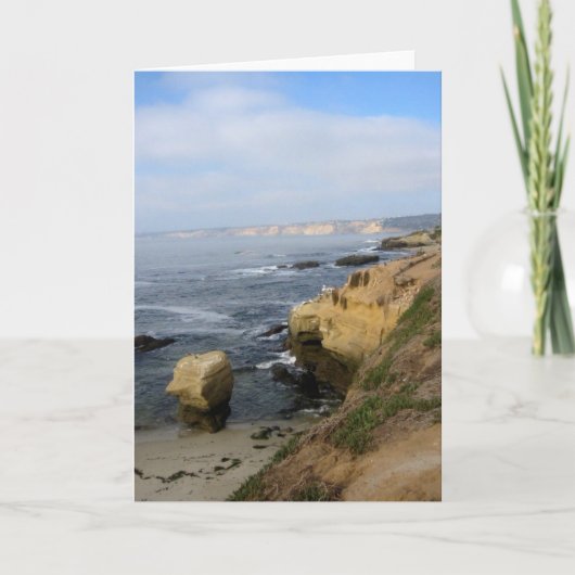 La Jolla Cove Beach Seabirds Custom Grußkarten Karte (Vorderseite)