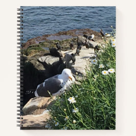 La Jolla Cove, Kalifornien Notizblock