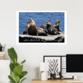La Jolla Cove Sea Lions Poster (Heimbüro)