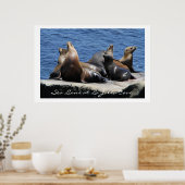 La Jolla Cove Sea Lions Poster (Küche)