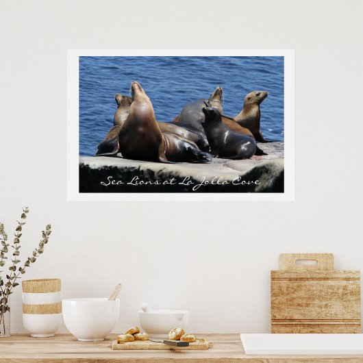 La Jolla Cove Sea Lions Poster (Küche)