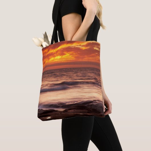 La Jolla Gezeitentümpel Tasche (Von Nahem)