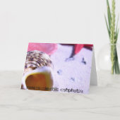 La Jolla, Kalifornien Karte (Rückseite)