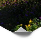 La Jolla, Kalifornien Poster (Ecke)