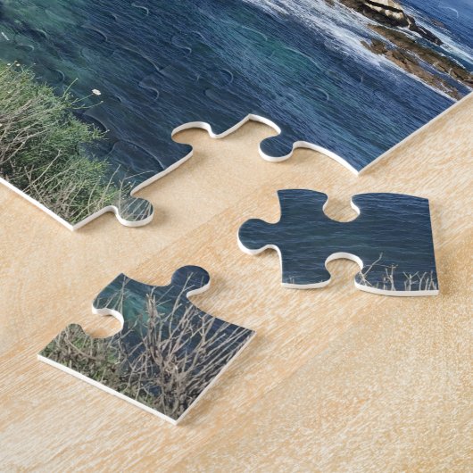 La Jolla Puzzle (Seite)