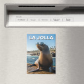 La Jolla Sea Lion California Magnet (In Situ (Geschirrspüler))