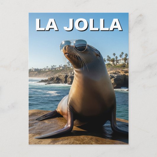 La Jolla Sea Lion California Postkarte (Vorderseite)