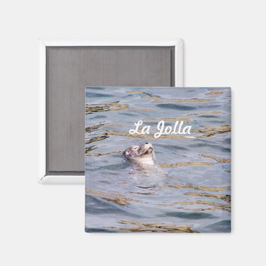 La Jolla Siegel Magnet (Vorderseite/Rückseite)