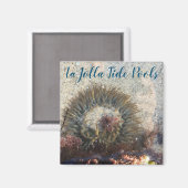 La Jolla Tide Pool Anemone Magnet (Vorderseite/Rückseite)