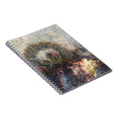 La Jolla Tide Pool Anemone Notizblock (Rechte Seite)