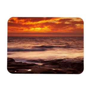 La Jolla Tide Pools Magnet