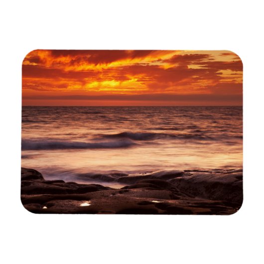 La Jolla Tide Pools Magnet (Horizontal)