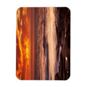 La Jolla Tide Pools Magnet (Vertikal)