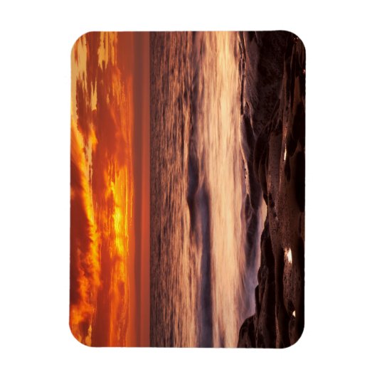 La Jolla Tide Pools Magnet (Vertikal)