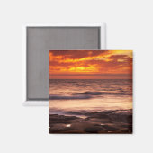 La Jolla Tide Pools Magnet (Vorderseite/Rückseite)