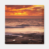 La Jolla Tide Pools Magnet (Vorne)