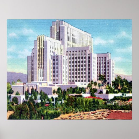 LA Landkreis General Hospital Poster (Vorne)