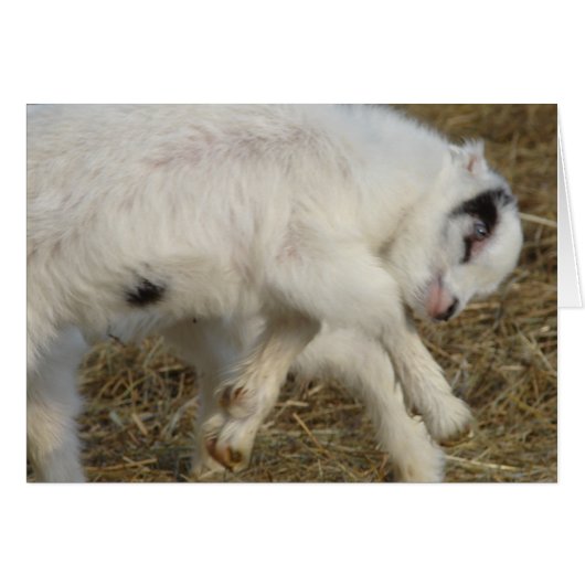 La Mancha Billy Kind im Spiel (Vorderseite (Horizontal))