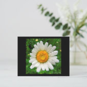 La marguerite postkarte (Stehend Vorderseite)