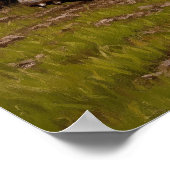 LA MÊLÉE AU RUGBY (Der Rugby-Scrum) Poster (Ecke)