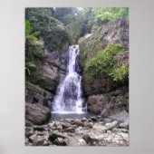 La Myna Falls Poster (Vorne)