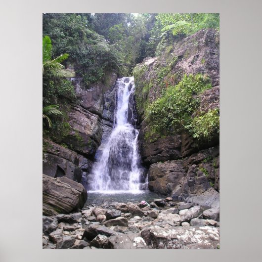 La Myna Falls Poster (Vorne)