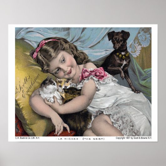 La Nichee (The Nest) Poster (Vorne)