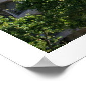 La Pedrera Poster (Ecke)