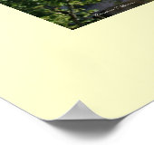 La Pedrera Poster (Ecke)