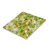 La Pera Pear Fliese (Seite)