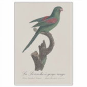 La Perruche a gorge rouge Aufkleber (Vorderseite)