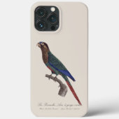 La Perruche Ara, eine Schlucht Case-Mate iPhone Hülle (Rückseite)