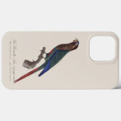 La Perruche Ara, eine Schlucht Case-Mate iPhone Hülle (Rückseite (Horizontal))