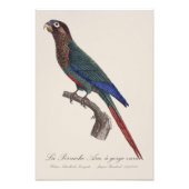 La Perruche Ara, eine Schlucht Fotodruck (Vorne)