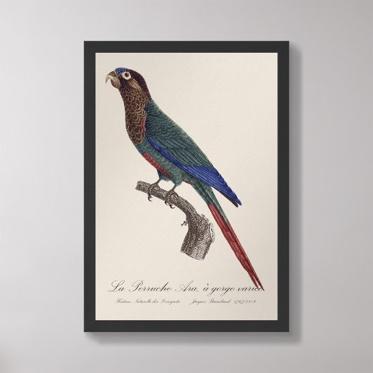 La Perruche Ara, eine Schlucht Fotodruck