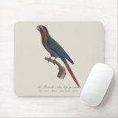 La Perruche Ara, eine Schlucht Mousepad (Mit Mouse)