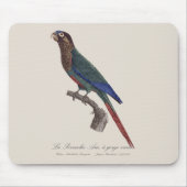 La Perruche Ara, eine Schlucht Mousepad (Vorne)