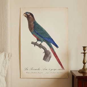 La Perruche Ara, eine Schlucht Poster