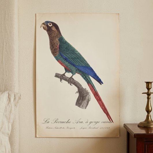 La Perruche Ara, eine Schlucht Poster