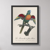 La Perruche, ein Bleistift Fotodruck