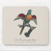 La Perruche, ein Bleistift Mousepad (Vorne)