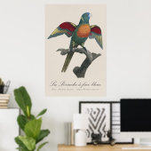 La Perruche, ein Bleistift Poster (Heimbüro)