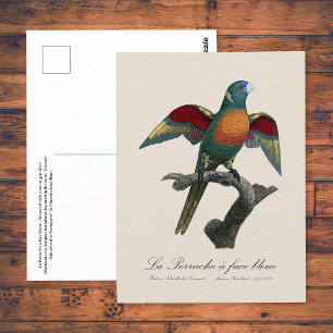 La Perruche, ein Bleistift Postkarte