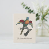 La Perruche, ein Bleistift Postkarte (Stehend Vorderseite)