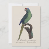 La Perruche - eine Vorfahrt Dankeskarte (Vorderseite)