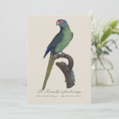 La Perruche - eine Vorfahrt Dankeskarte (Stehend Vorderseite)