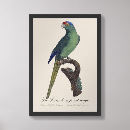 La Perruche - eine Vorfahrt Fotodruck