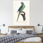 La Perruche - eine Vorfahrt Leinwanddruck (Insitu (Schlafzimmer))